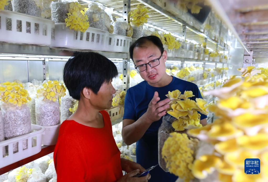 六台至尊苹果怎么下载